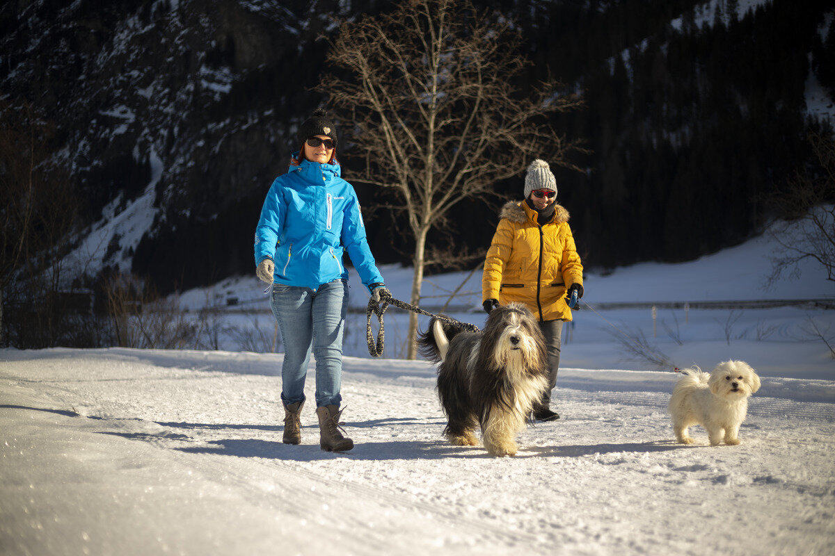 ё-TVB-Tiroler-Oberland-Kaunertal-Martin-Lugger-Winterwandern-Hunde-LUG1666