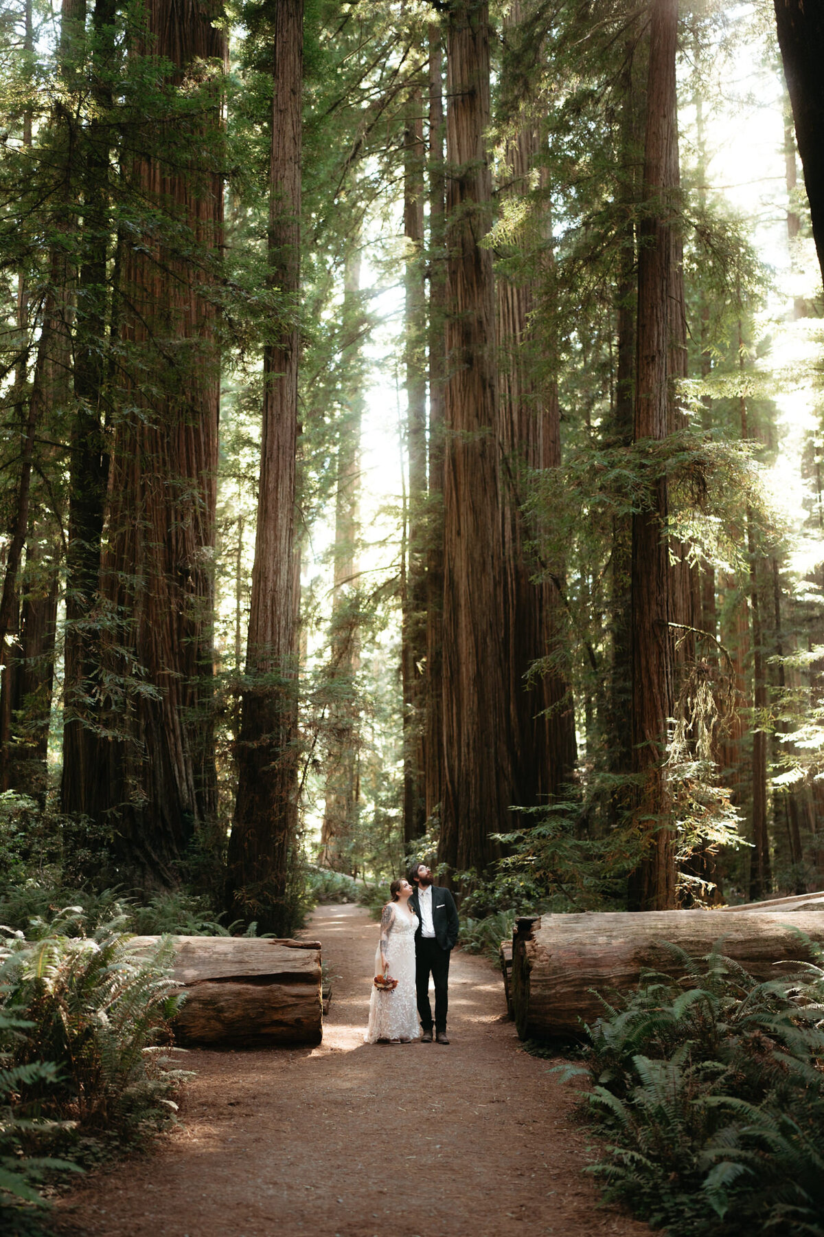 the_chaffins_international_destination_wedding_elopement_photographers_sammie_chaffin_micah_editorial_adventure_photos_travel_redwoods_national_park_14