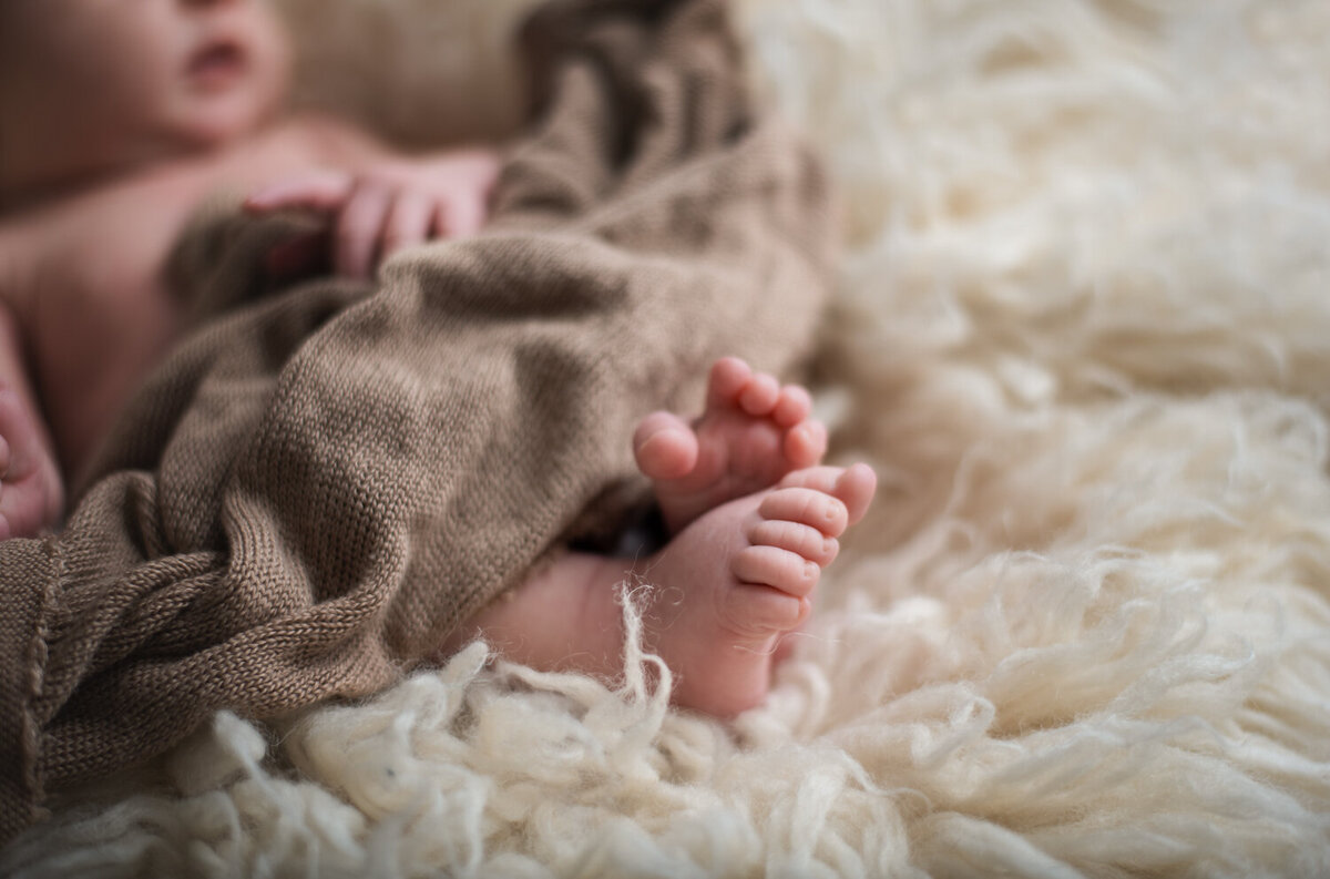 newborn toes by st. louis newborn photographer