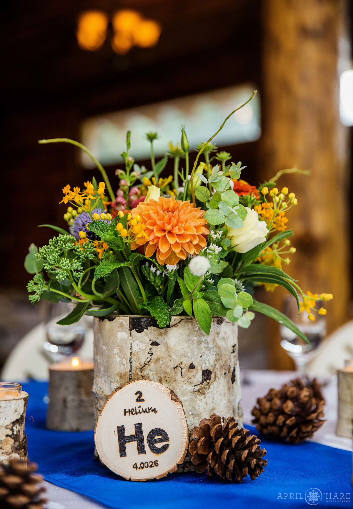 Chemistry loving wedding couple at Wedgewood Weddings Mountain View Ranch in Pine