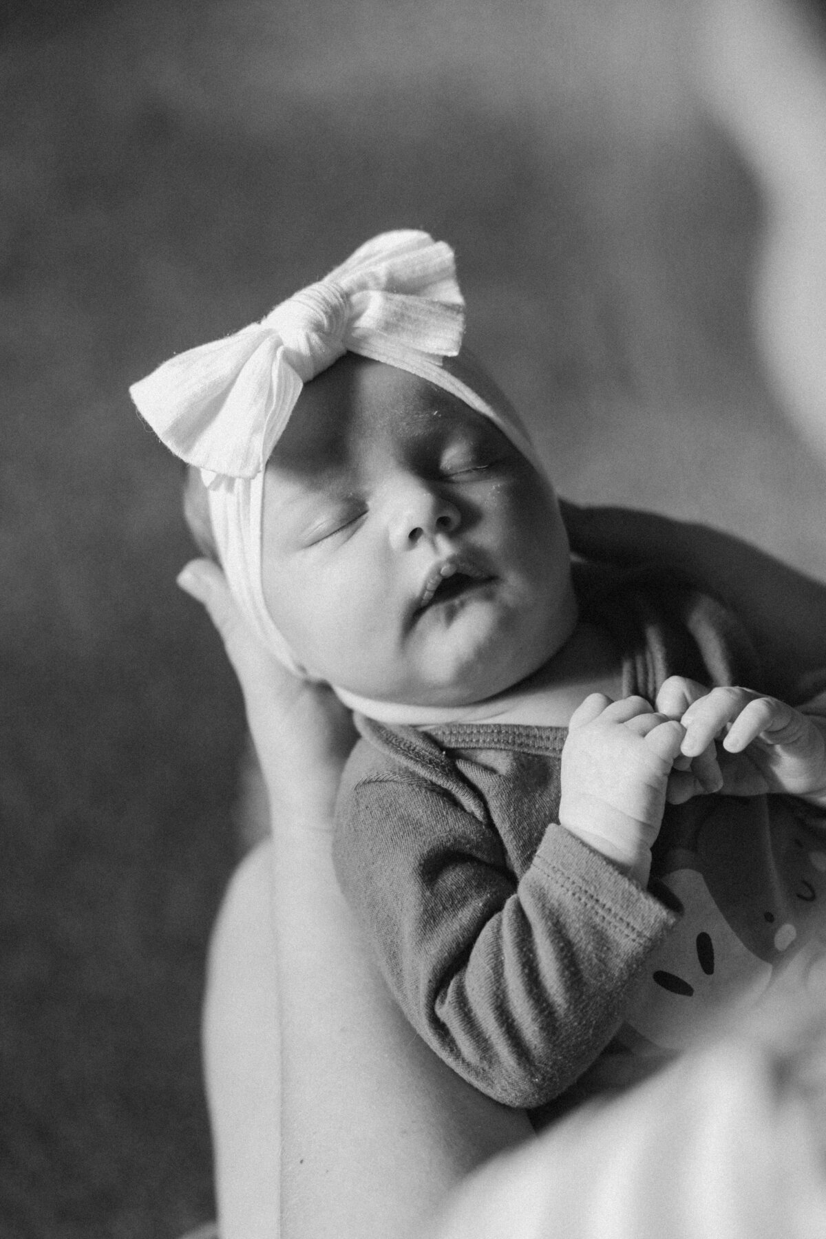 Family Photography in MN 