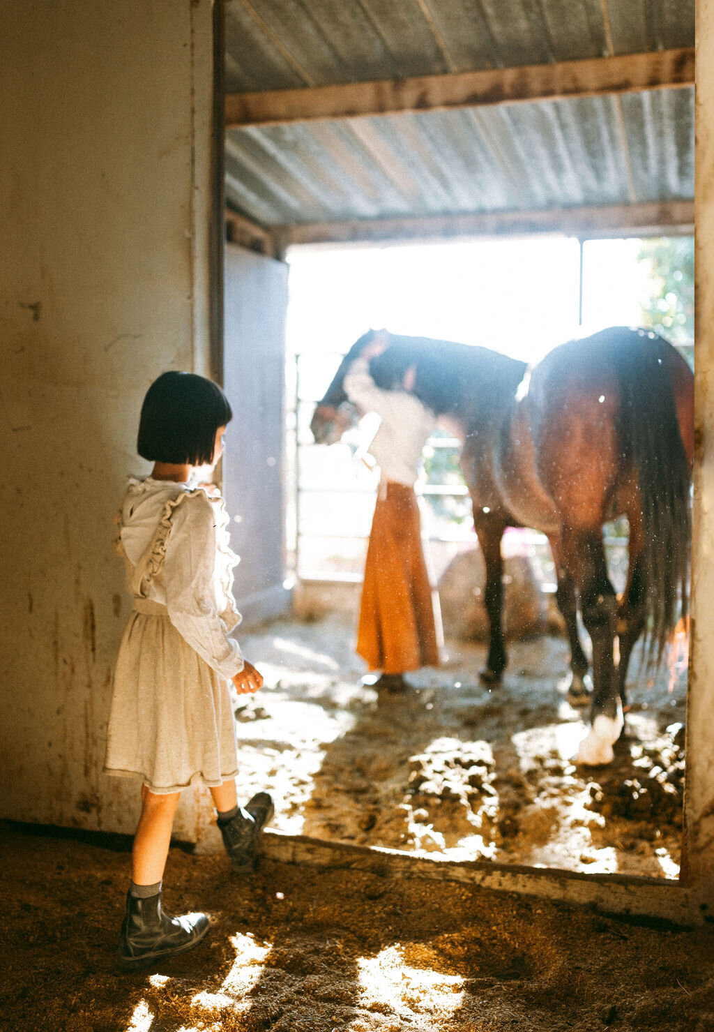 Portland-family-photographer-bayarea-horsefarm-7