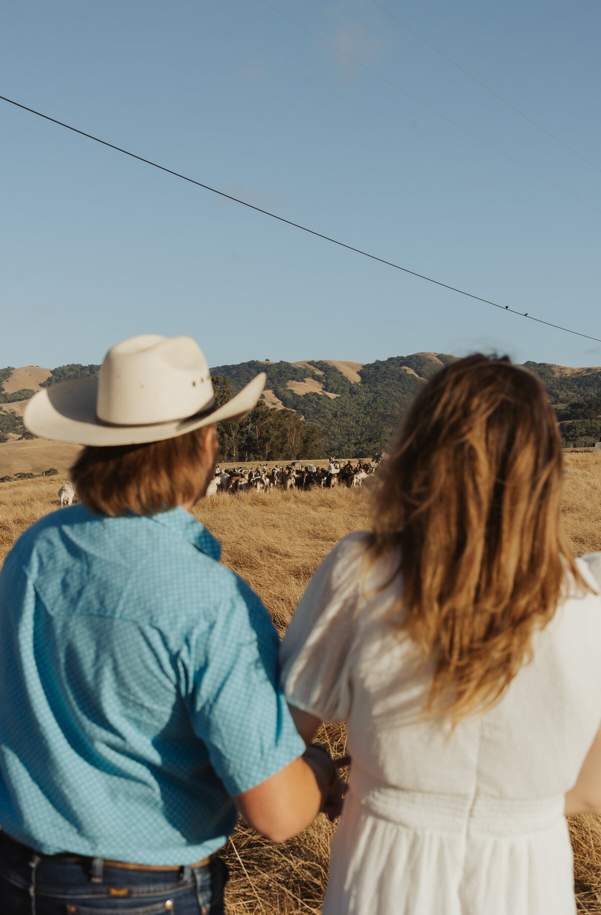 Petaluma-Engagement-Photographer-2