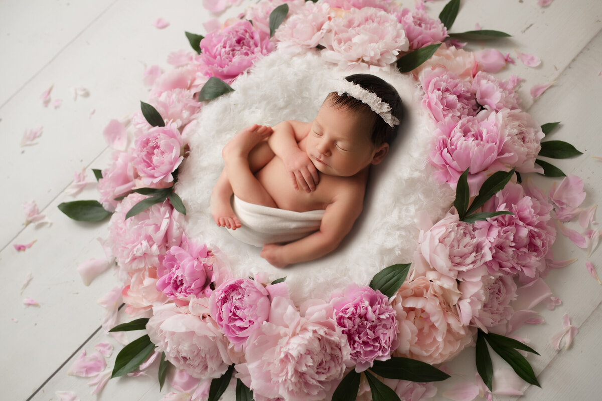 Newborn-Photographer-Photography-Vaughan-Maple-5