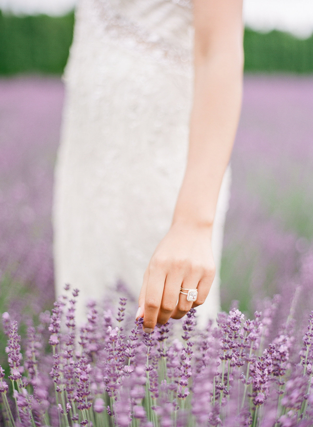 Woodinville Lavender Wedding-6