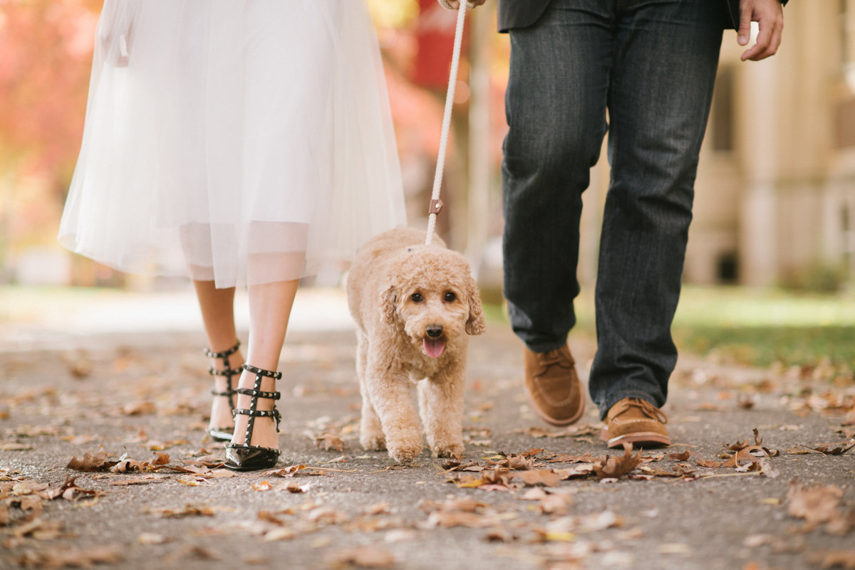 Couple walking a dog wearing valentino shoes and a tulle skirt