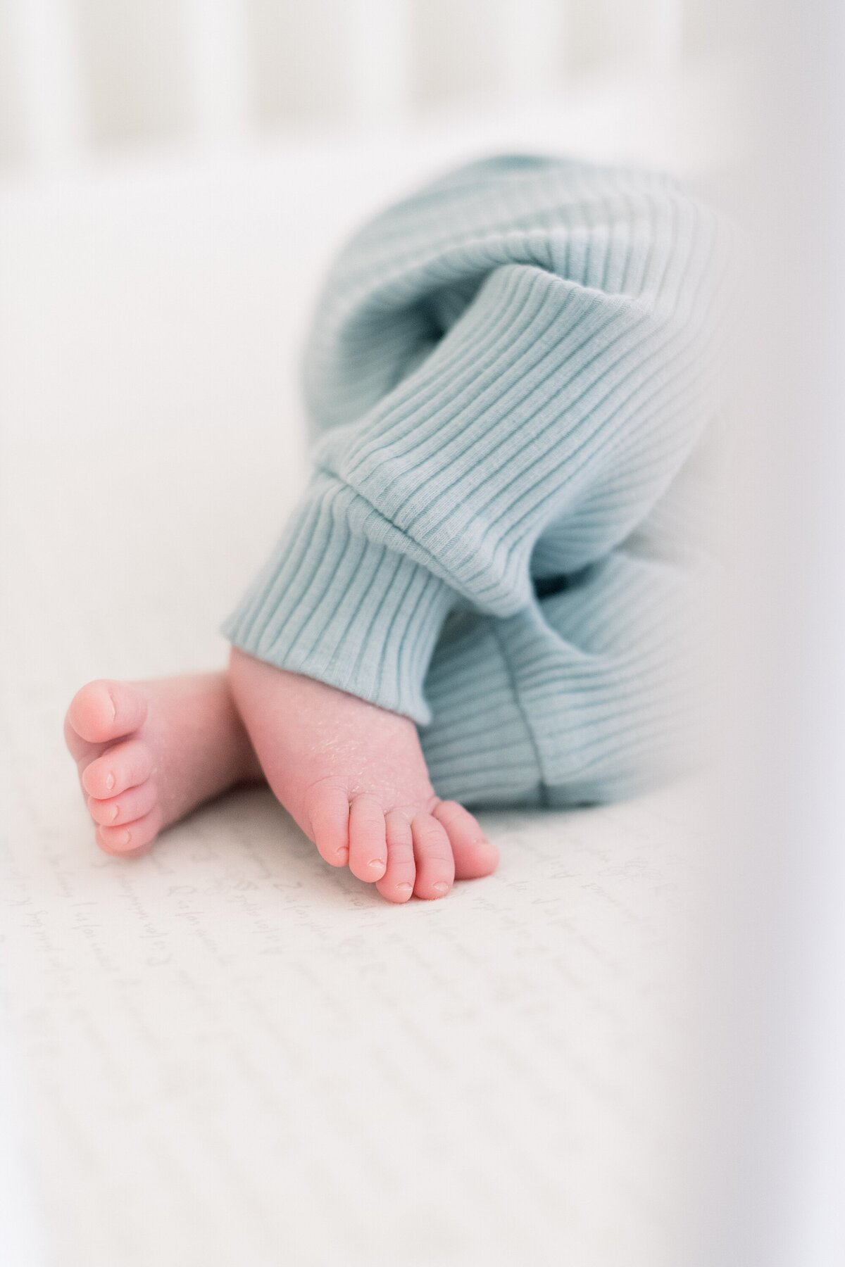 baby feet by nicole detone photography