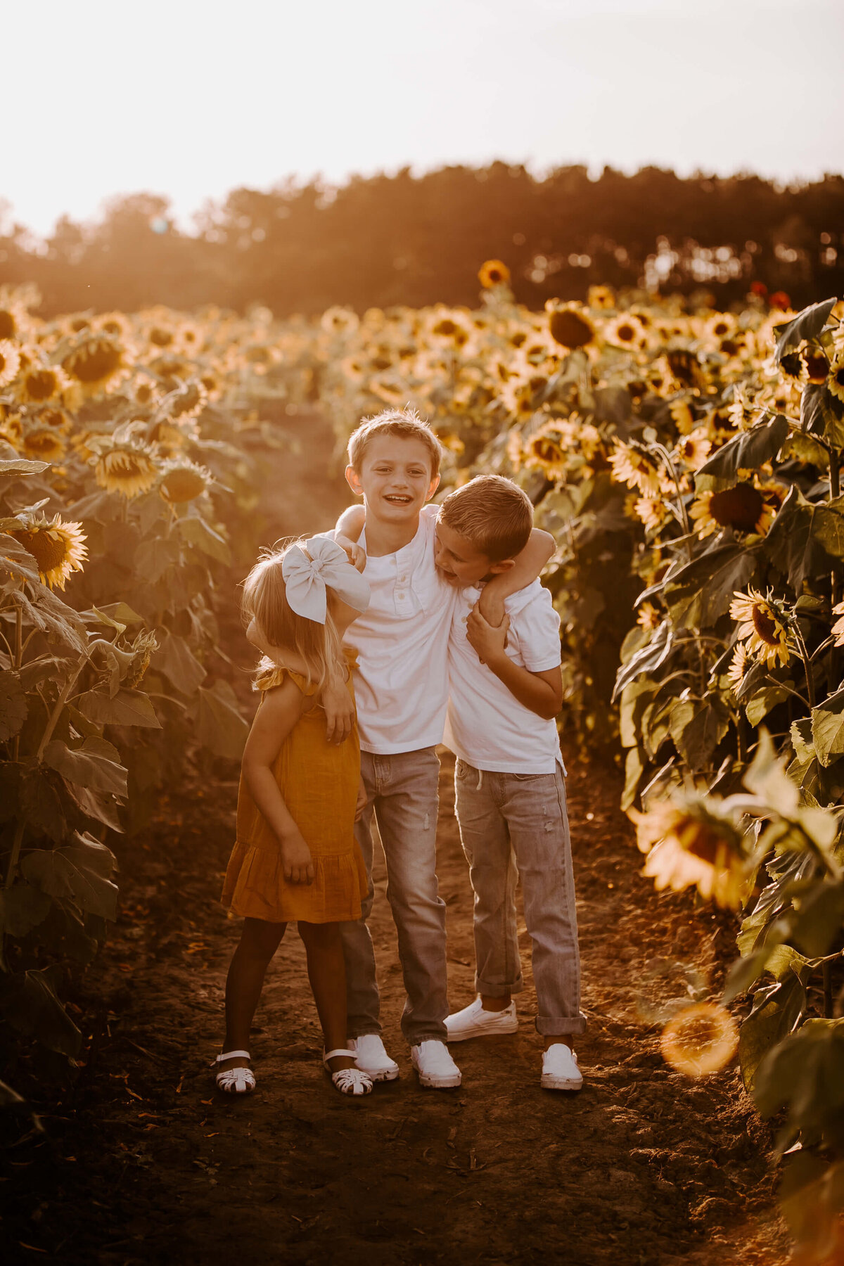 Sunflower-Field-Mini-Session-Family-Photography-Woodbury-Minnesota-Sigrid-Dabelstein-Photography-Thompson-33