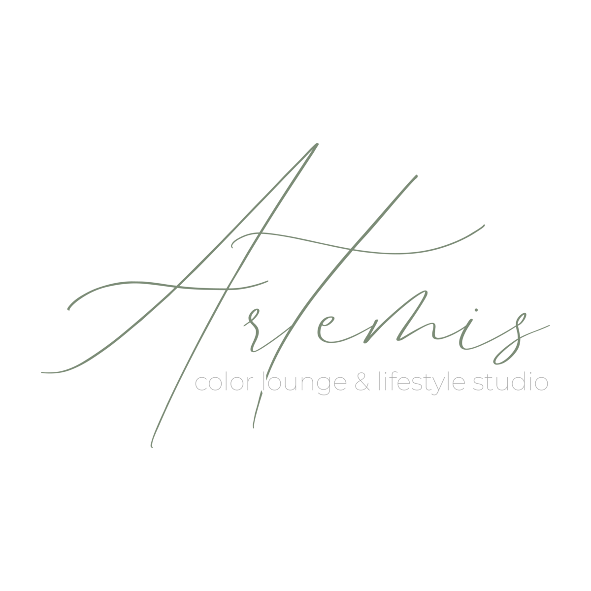 Artemis_ErinJ_Logo-01