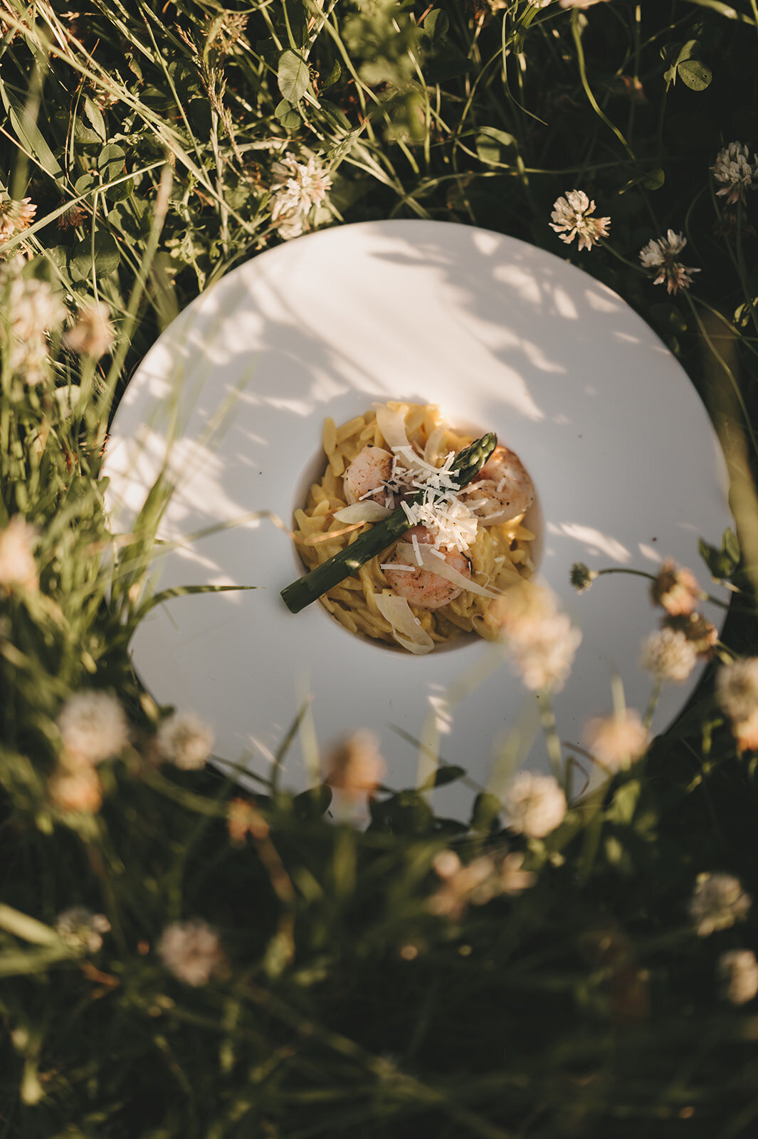 TwentyTwelvePhotography  destination wedding  - 27 - 5076