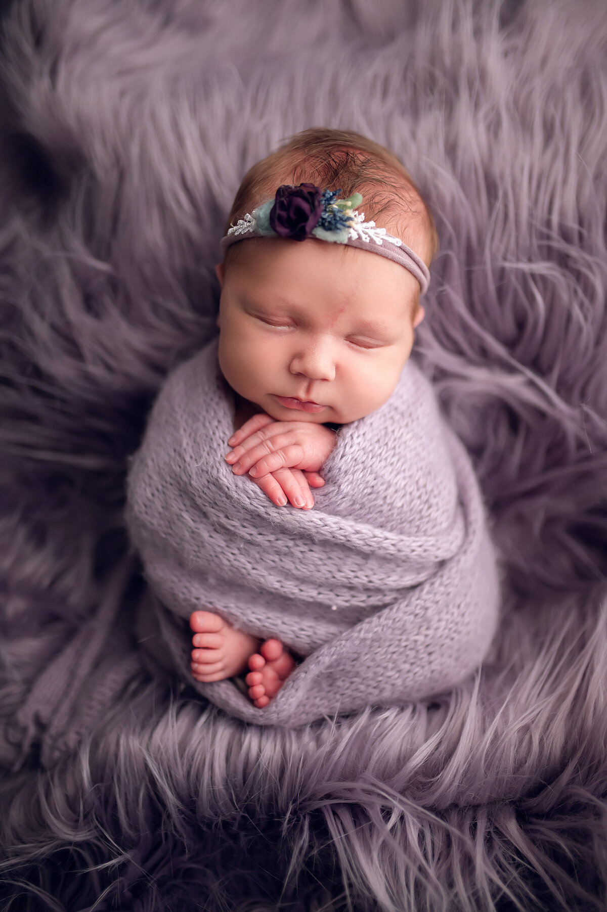 Portrait of newborn baby girl with a lavender motif. Baby is swaddled in soft purple blanket and placed on a lavender, shag backdrop in our Waukesha photo studio.