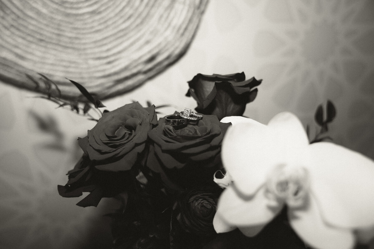 bydanieladavis-05026