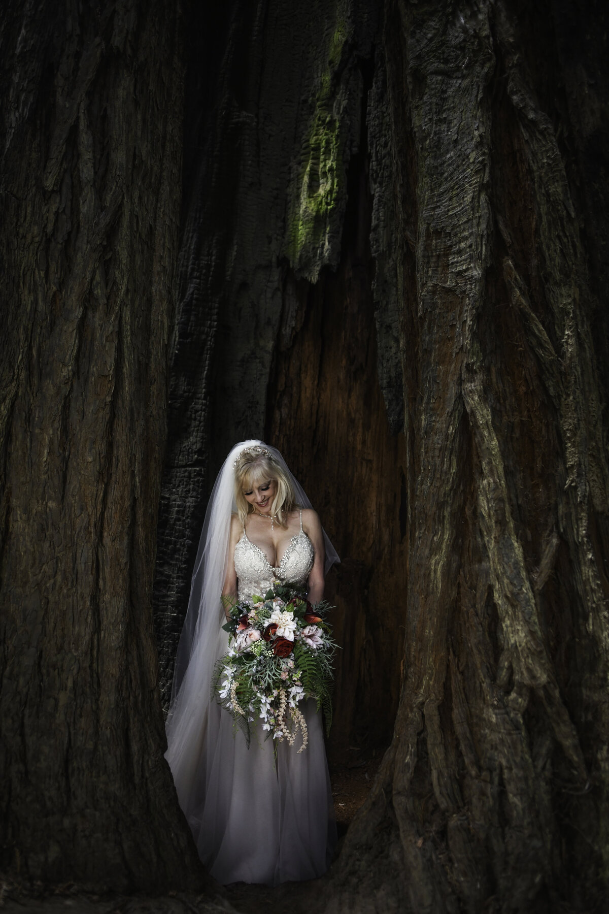 Redway-California-elopement-photographer-Parky's-Pics-Photography-redwoods-elopement-Avenue-of-the-Giants-Pepperwood-California-20.jpg