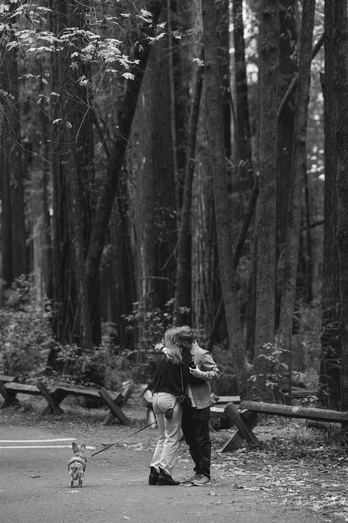 Redwood-Engagement-Photoshoot-8