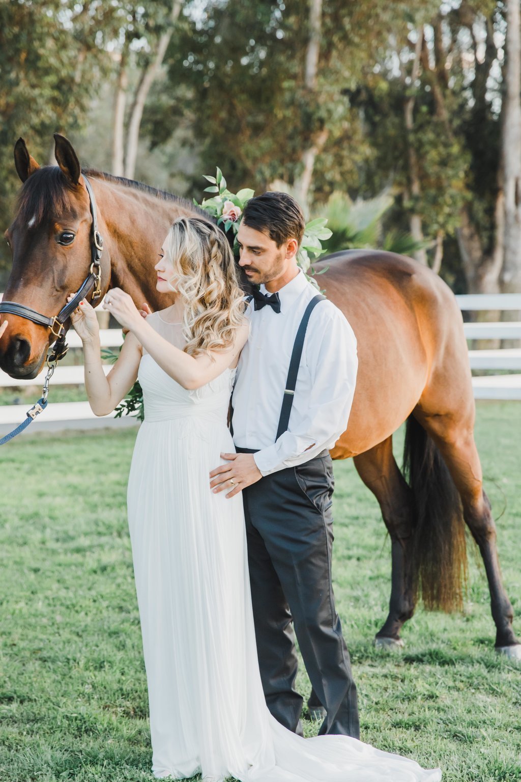 Beautiful Equestrian ROmance at Albert Court in California