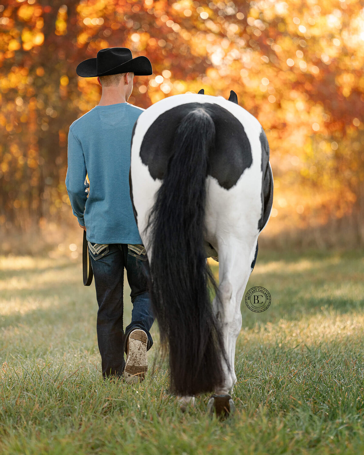 Southern-illinois-horse-photographer-#40