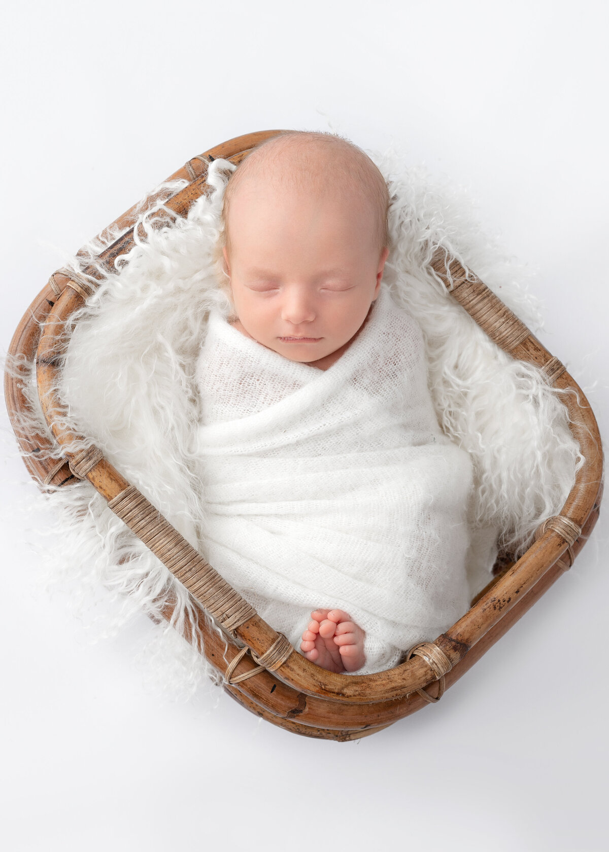 Hobart Newborn Photographer | Lauren Vanier Photography_-19