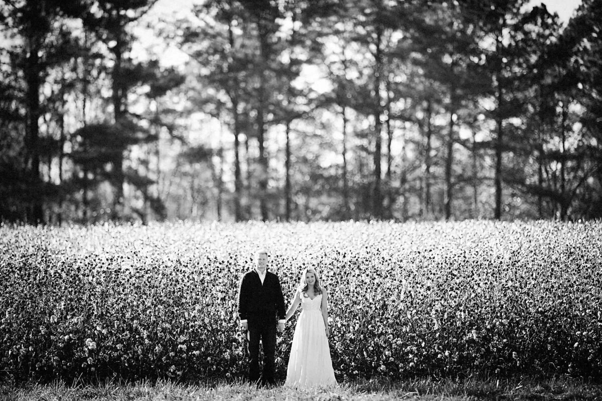 Black and white image of a couple standing in the middle of a vast cotton field