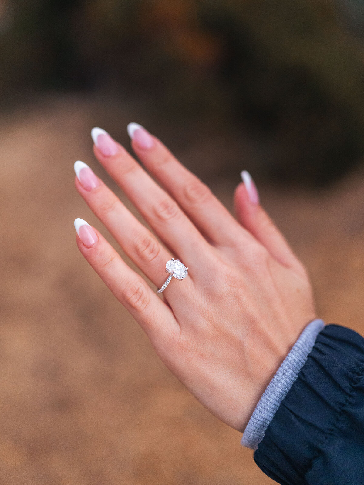 Blue Mountains Proposal Photography-36