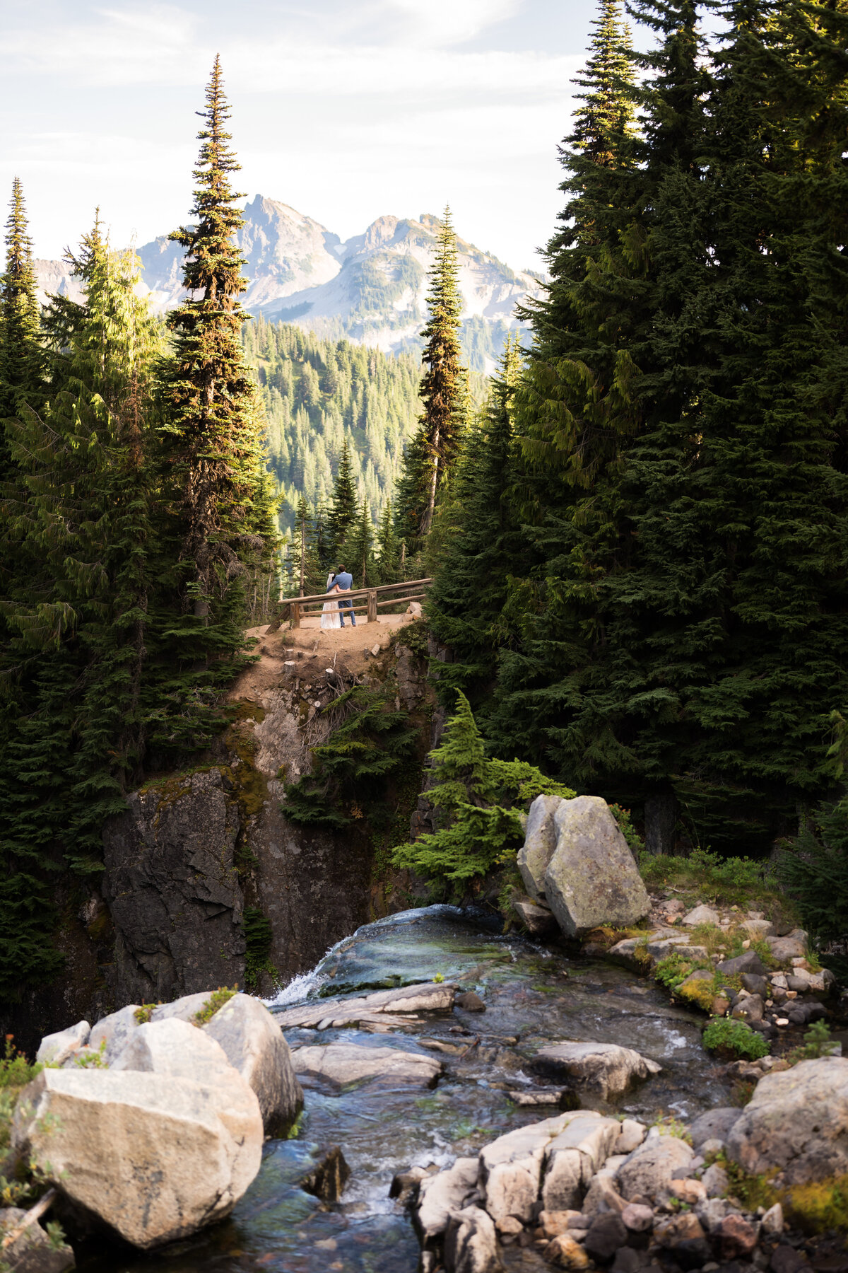 Mt Rainier National Park Elopement Photographer