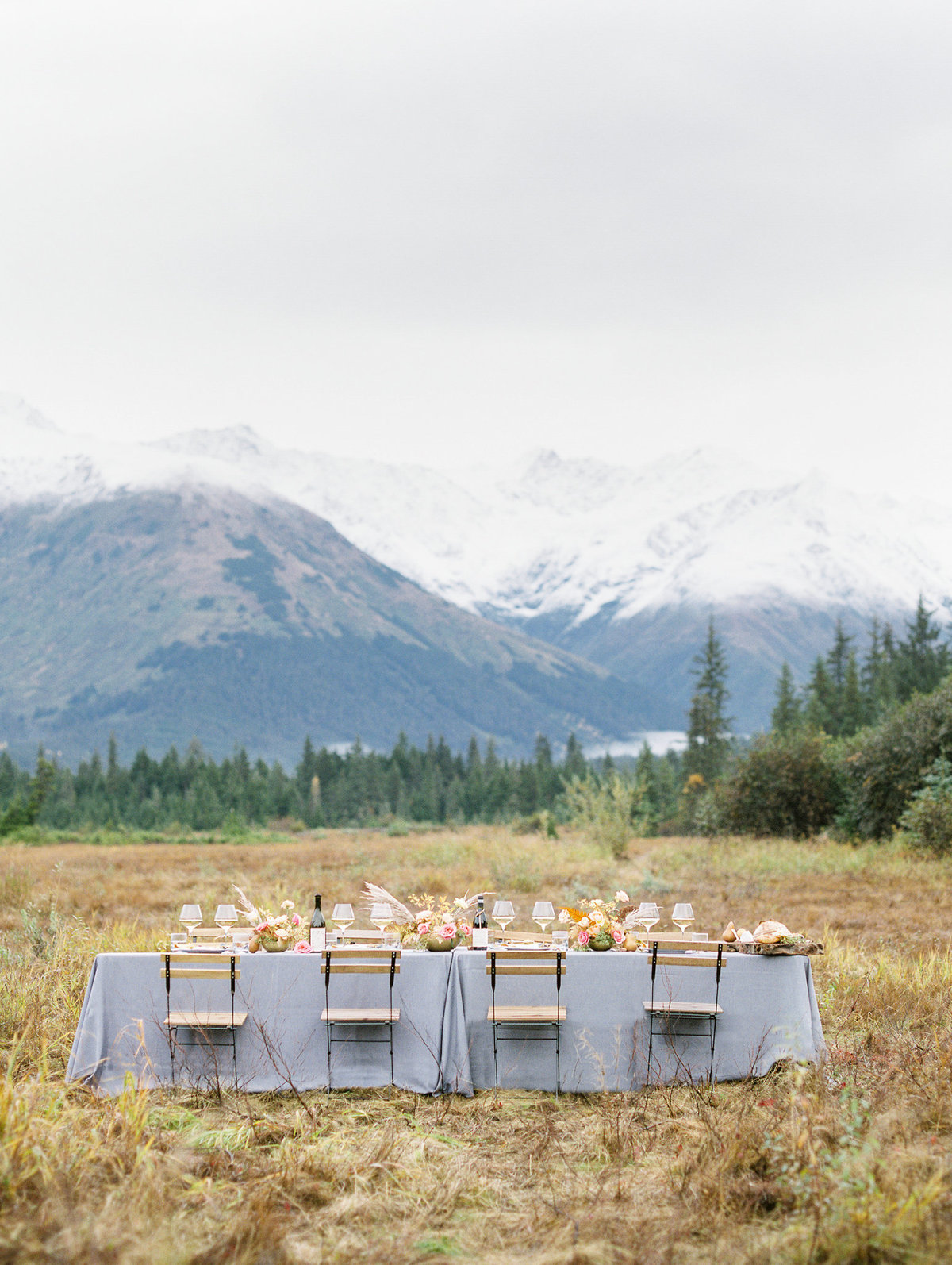 Alaska elopement Moose Meadows film photographer