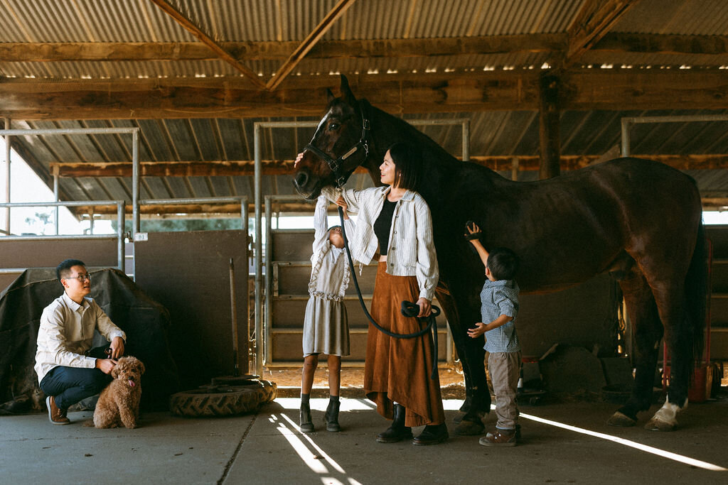 Portland-family-photographer-bayarea-horsefarm-55