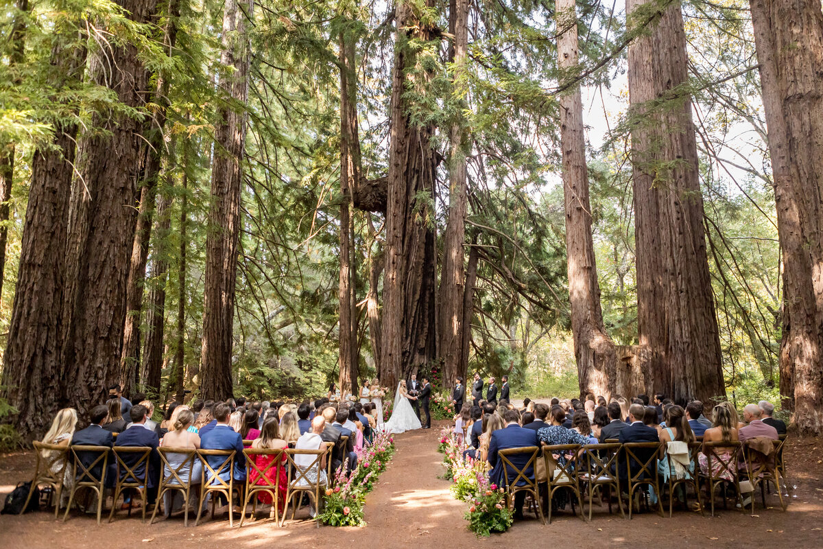 Ceremony in the Redwood Grove