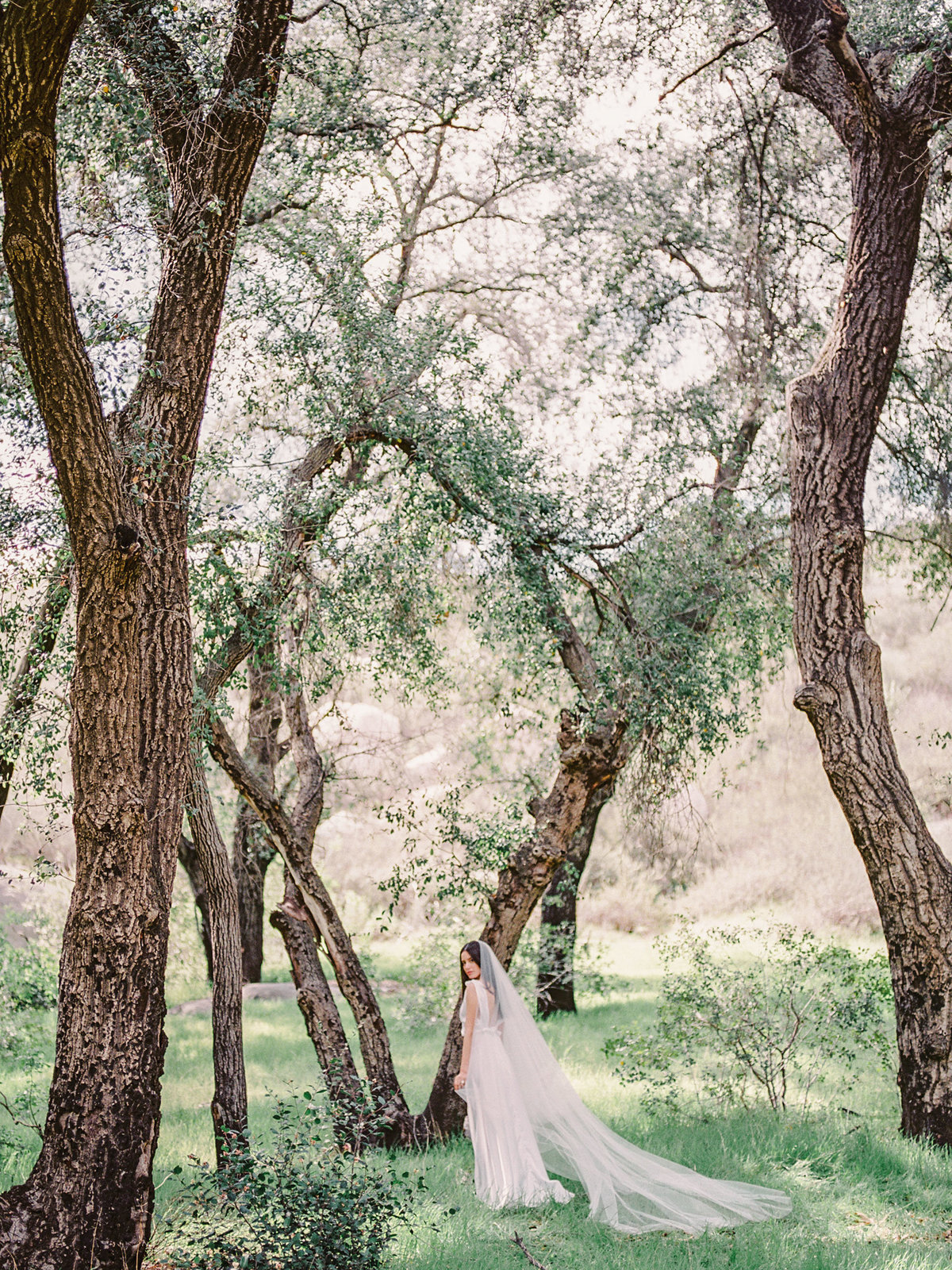 Babsie-Ly-Photography-Fine-Art-Film-Wedding-Bridal-Editorial-in-Hidden-Oaks-San-Diego-024