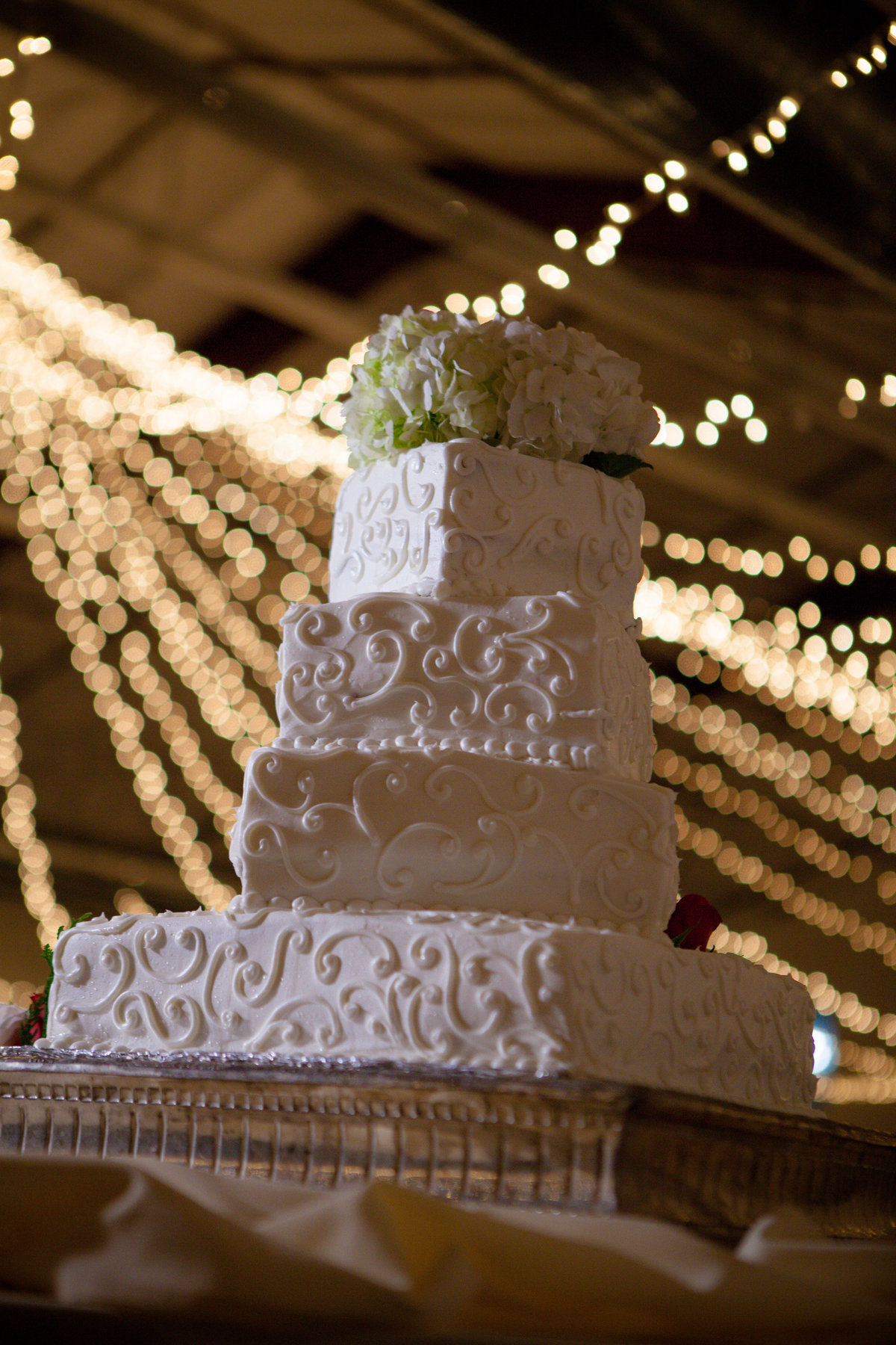 Ali_and_Joel_Wedding-5429