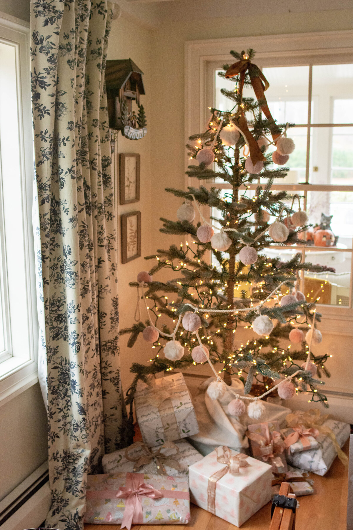 Harbor Springs Christmas-1