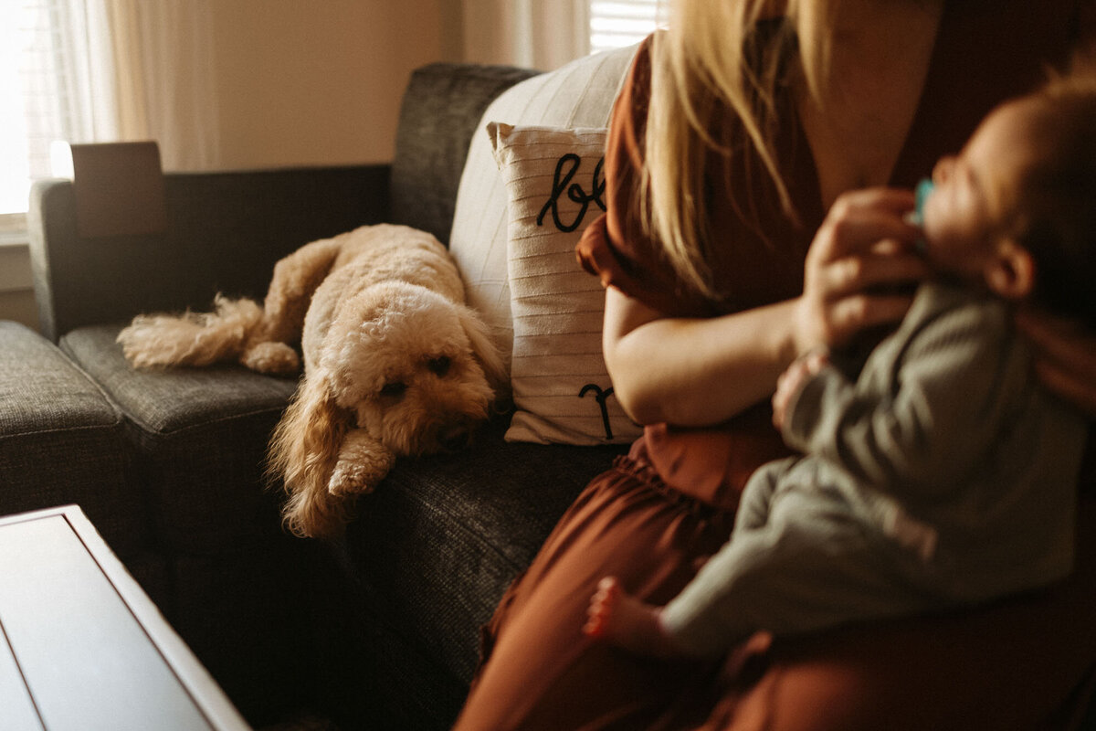newborn photo with mom, baby, and dog