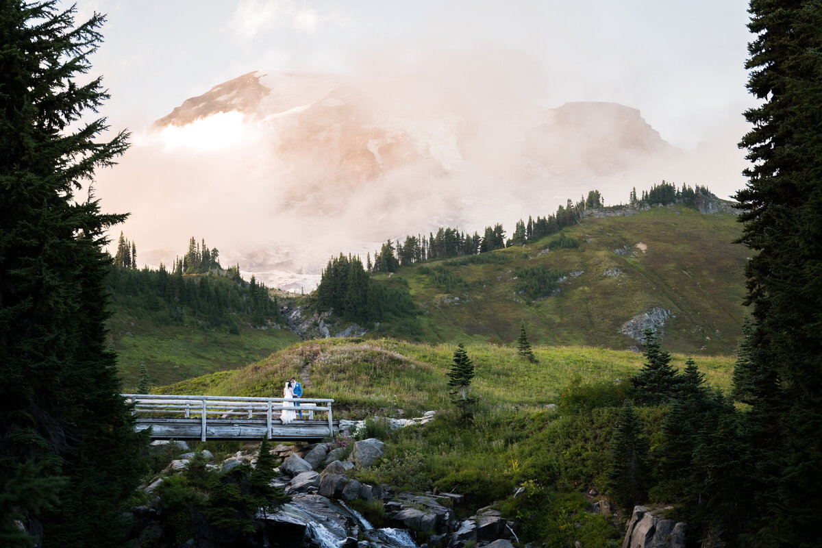 Mt Rainier National Park Elopement Photographer