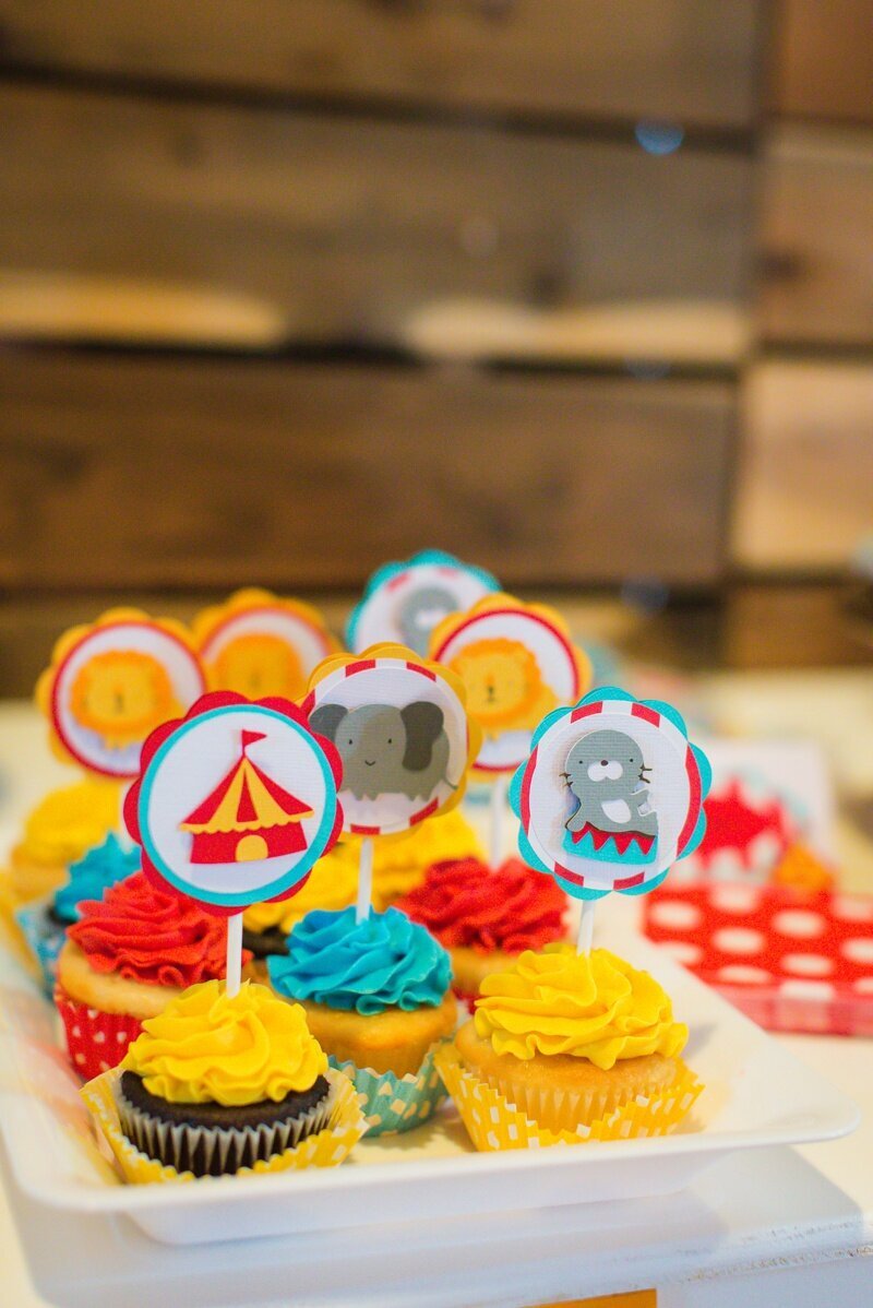 Circus Themed 1st Birthday Indianapolis Party Planner_0032
