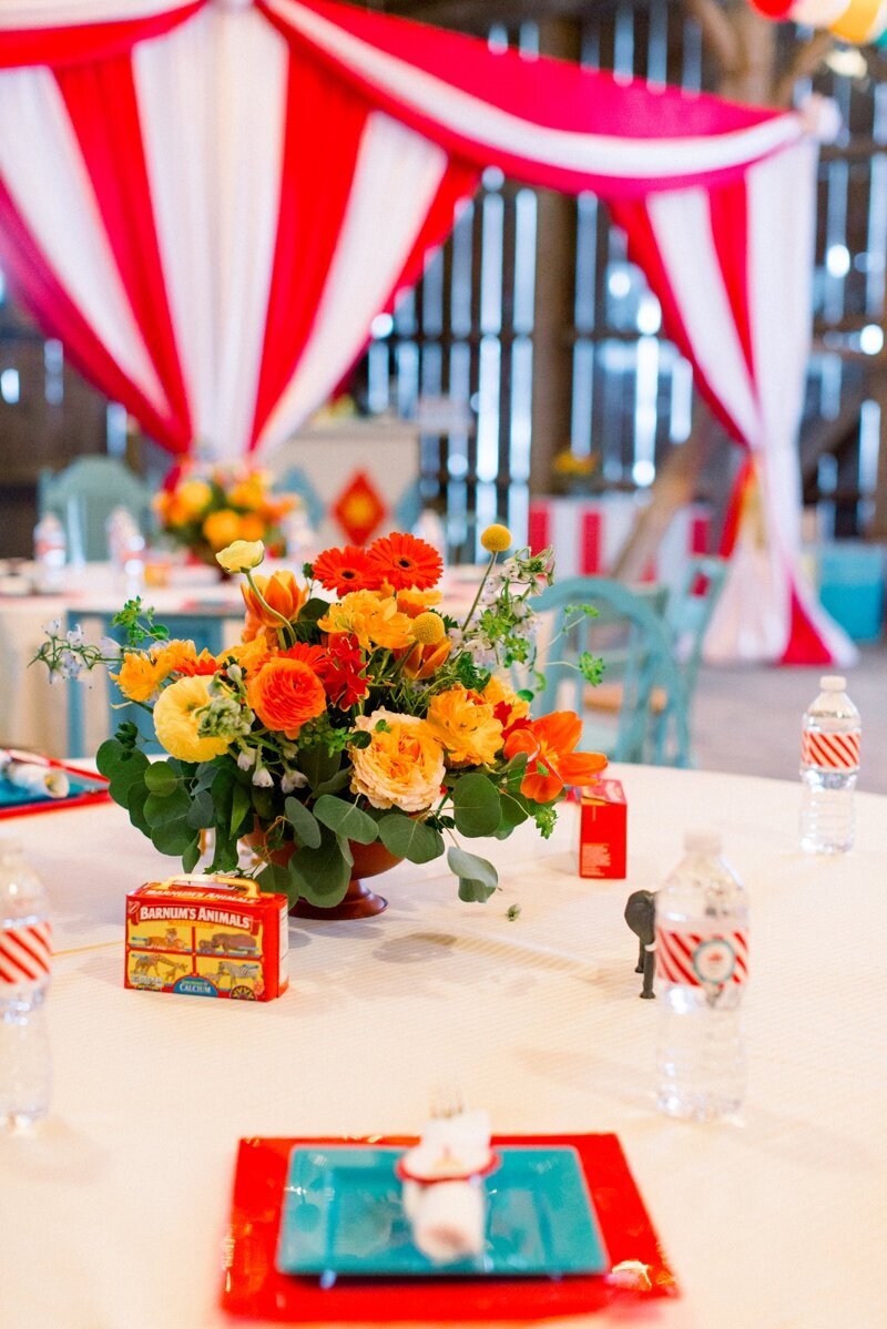 Circus Themed 1st Birthday Indianapolis Party Planner_0004