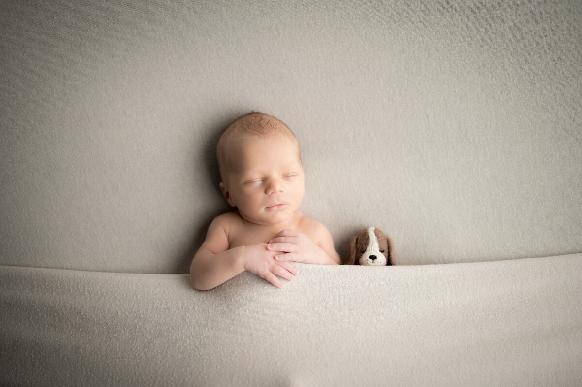 Baby tucked in asleep with stuffed animal in beige bedding  Indiana newborn photographer