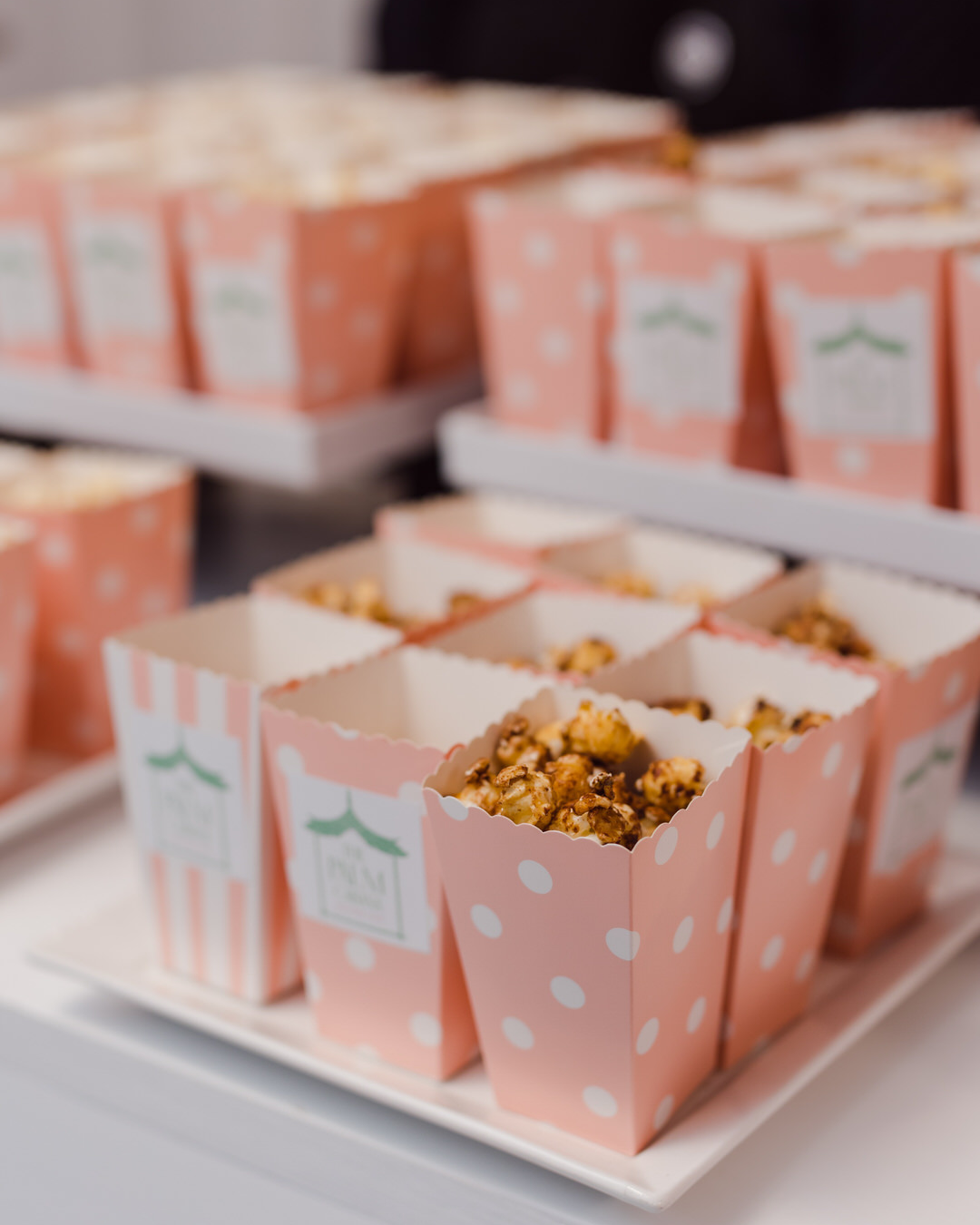 The Palm Popcorn Cabana at The 2023 WedLuxe Show Toronto photos by Purple Tree Photography6