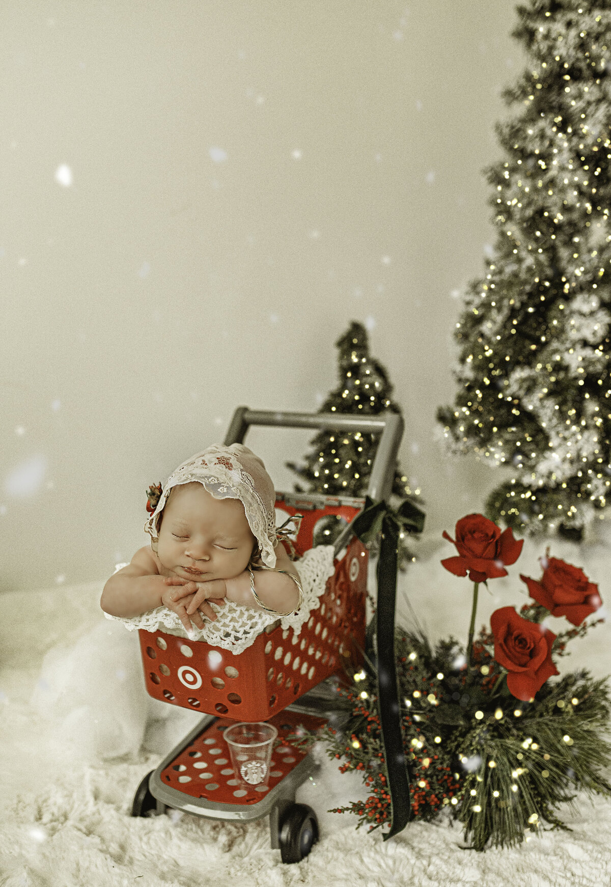 DSC_5864-2-Edit copy