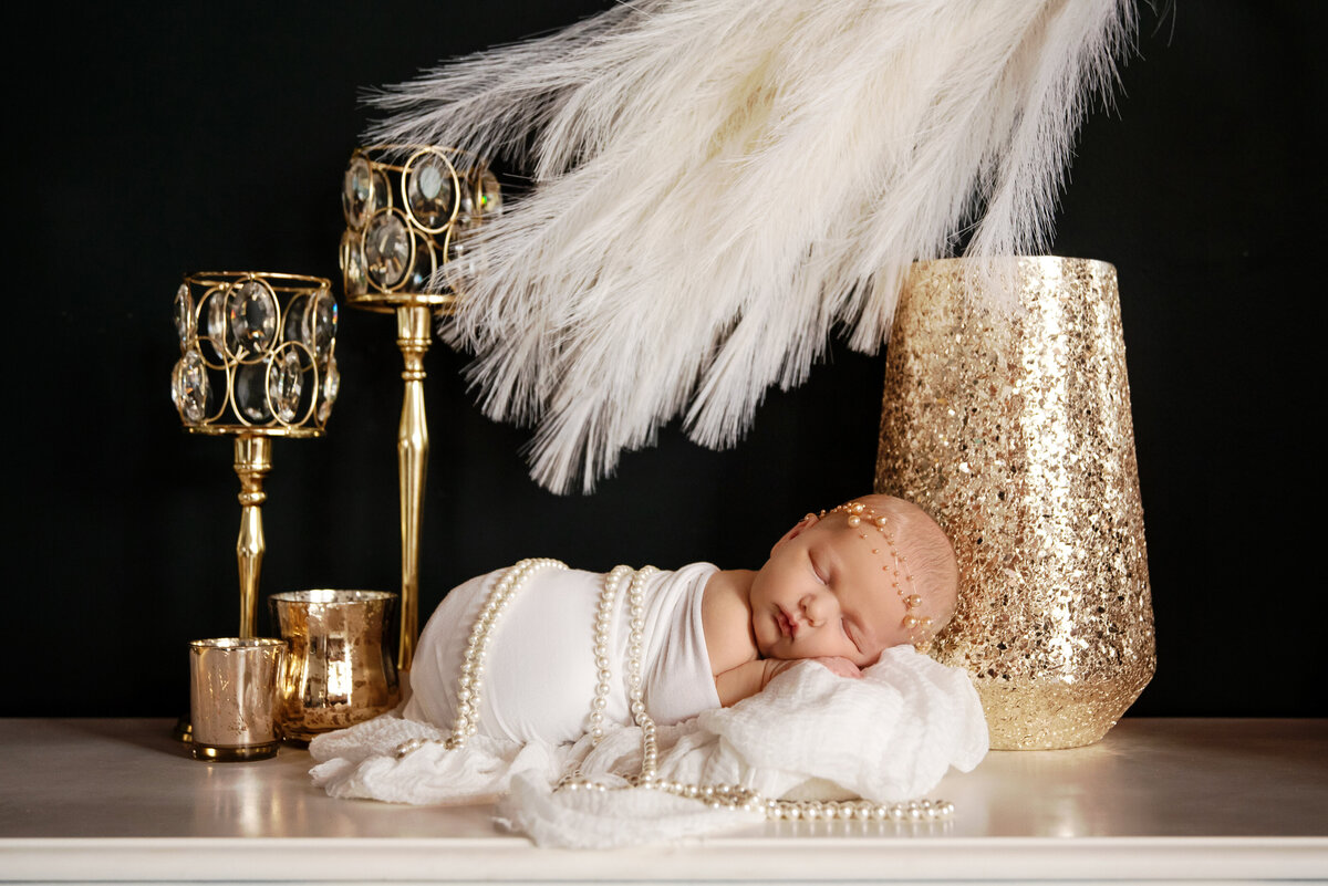 st-louis-newborn-photographer-newborn-girl-with-feathers-and-gold-sequin
