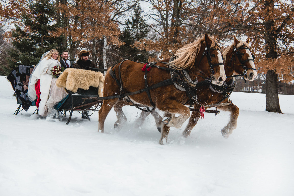 Bride and groom ride on horse drawn carriage in the snow.
