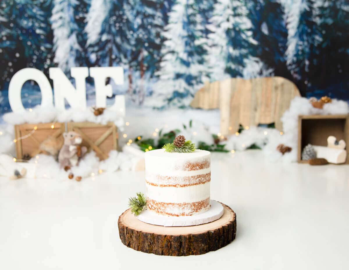 A naked cake,  in the wilderness during a custom cake smash session.