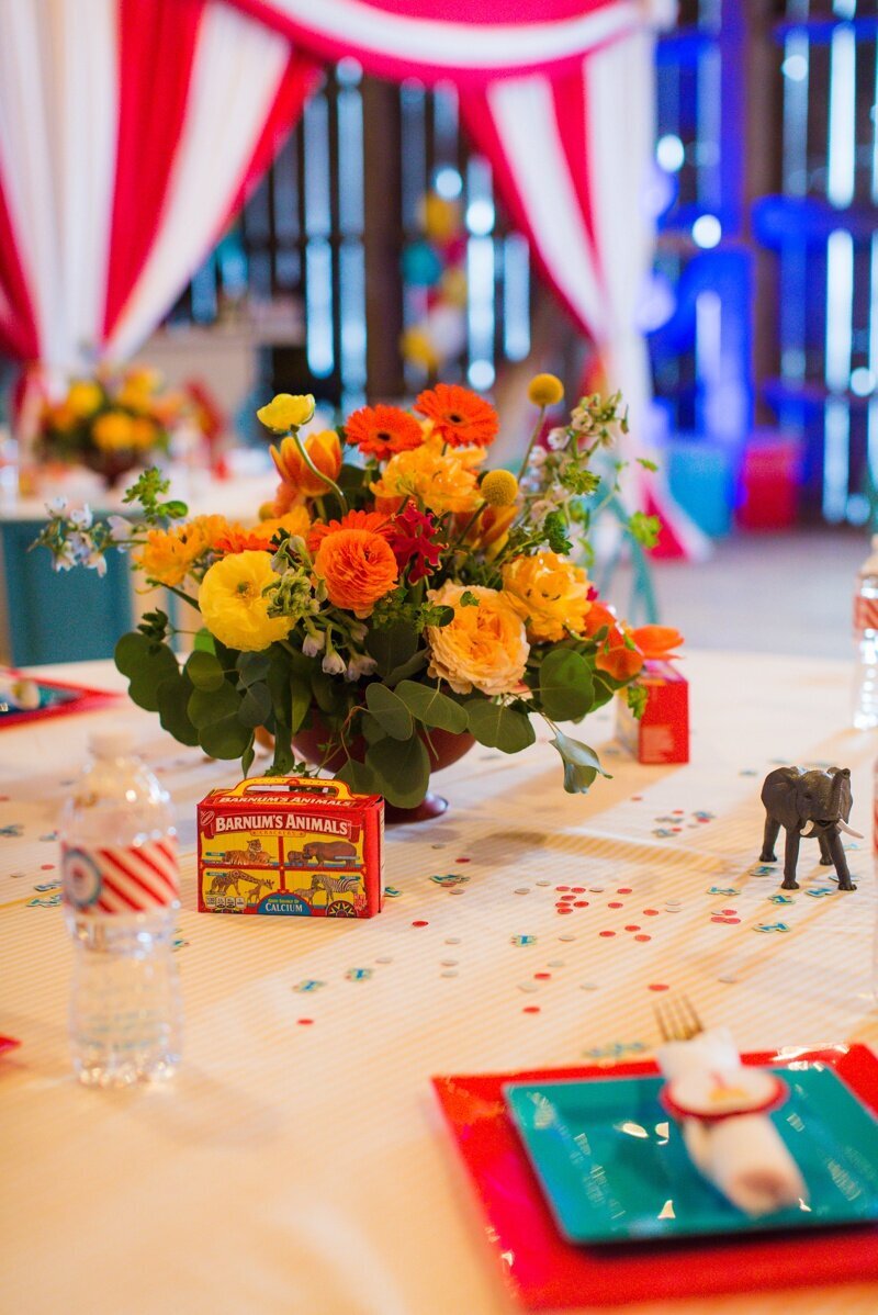 Circus Themed 1st Birthday Indianapolis Party Planner_0026