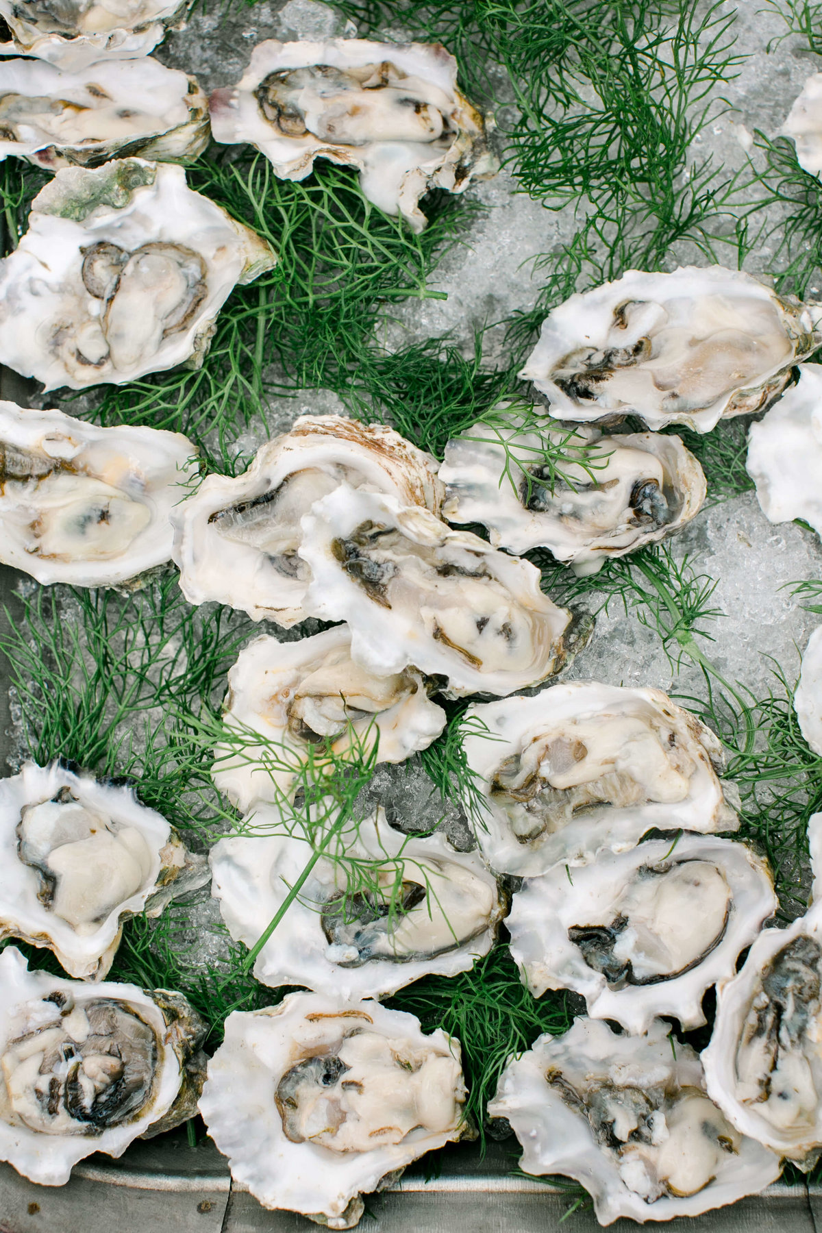 29-KTMerry-wedding-photography-oysters-horsdoeuvres