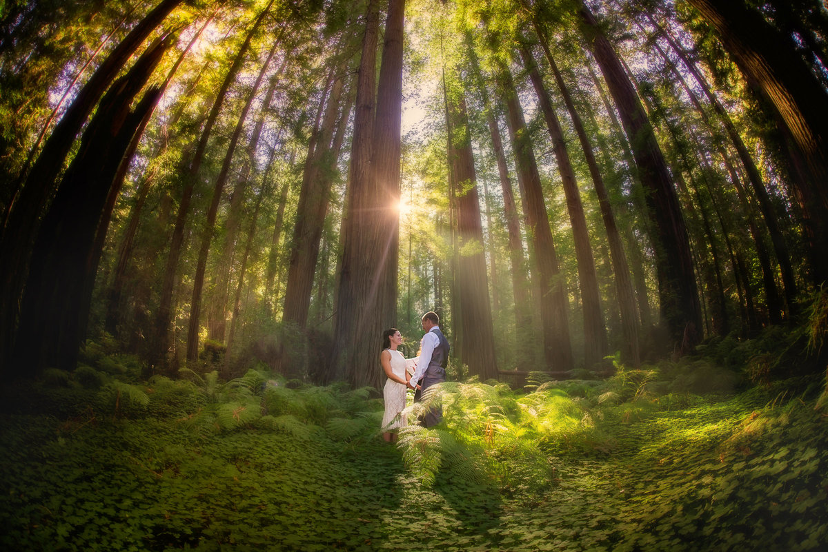 Redway-California-elopement-photographer-Parky's-Pics-Photography-redwoods-elopement-Avenue-of-the-Giants-Pepperwood-California-16.jpg