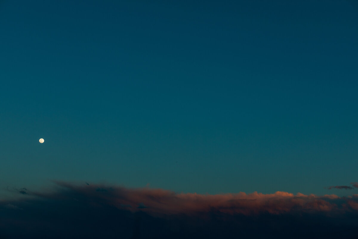 TheLocalPhotos_edited-19