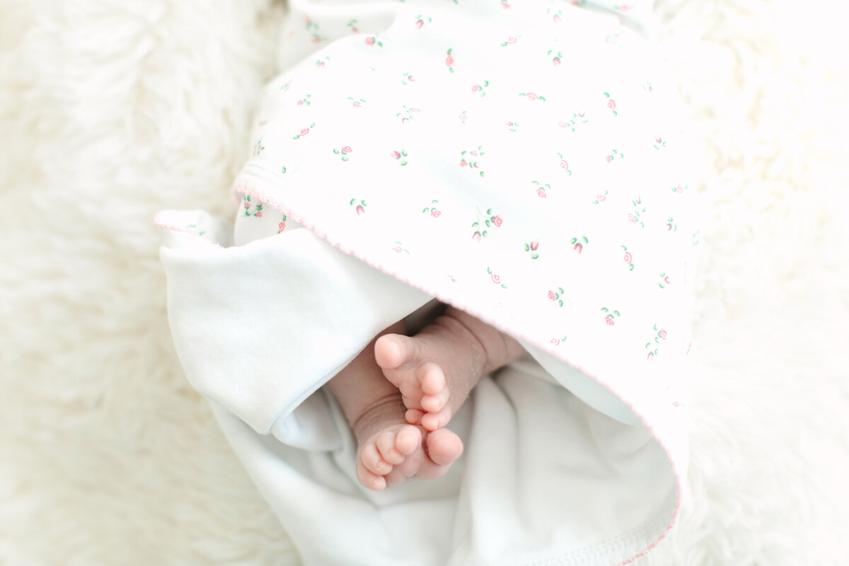 Baby Eloise  Shute Newborn-251
