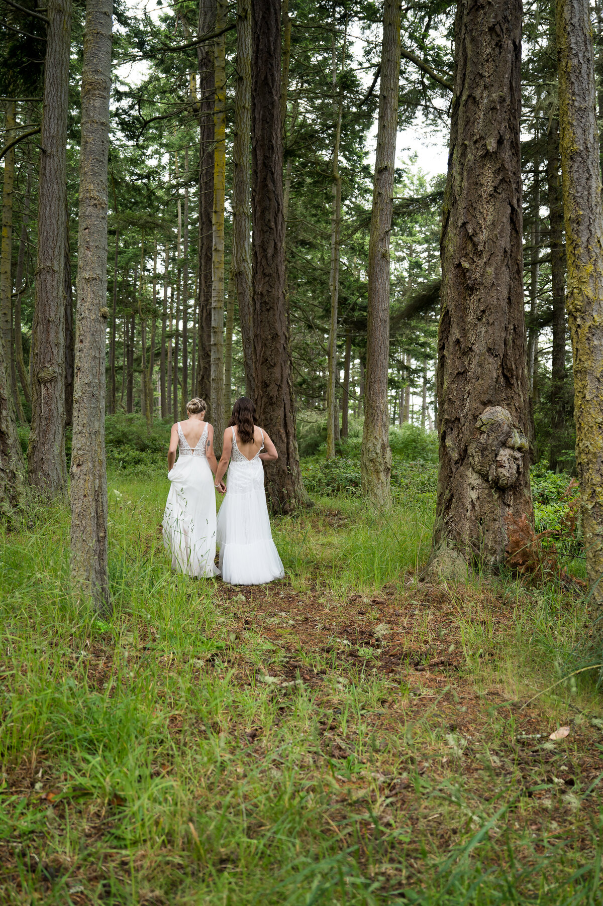 Olympic National Park Washington State Wedding and Elopement Photographer