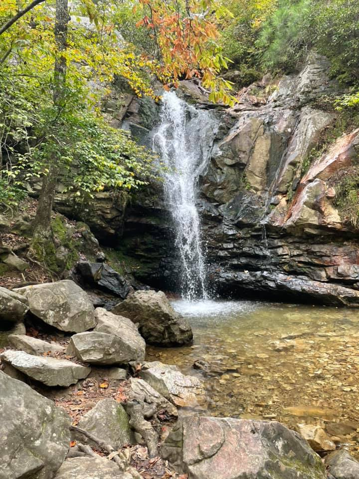 image14