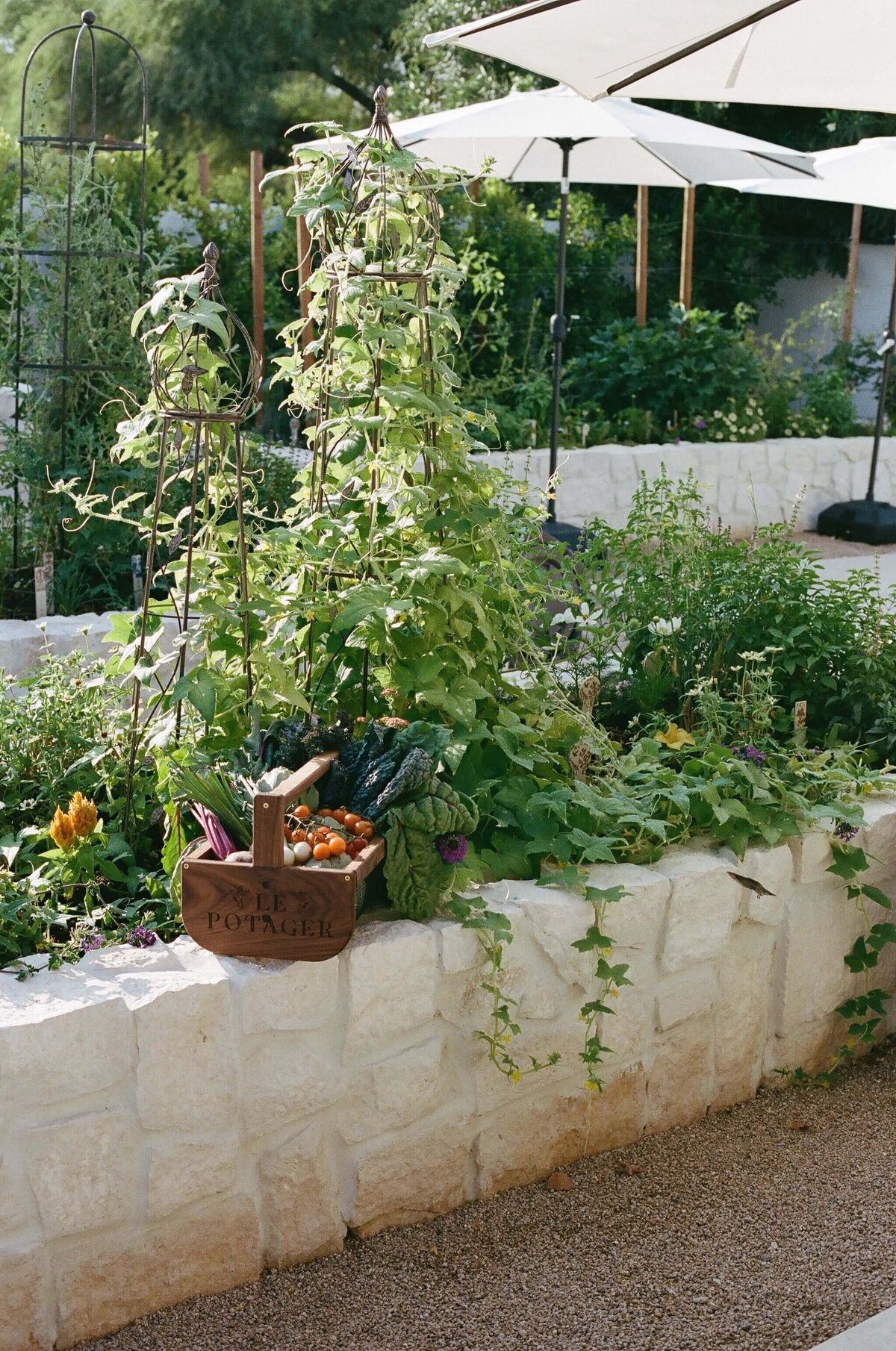 French-Garden-Hacienda