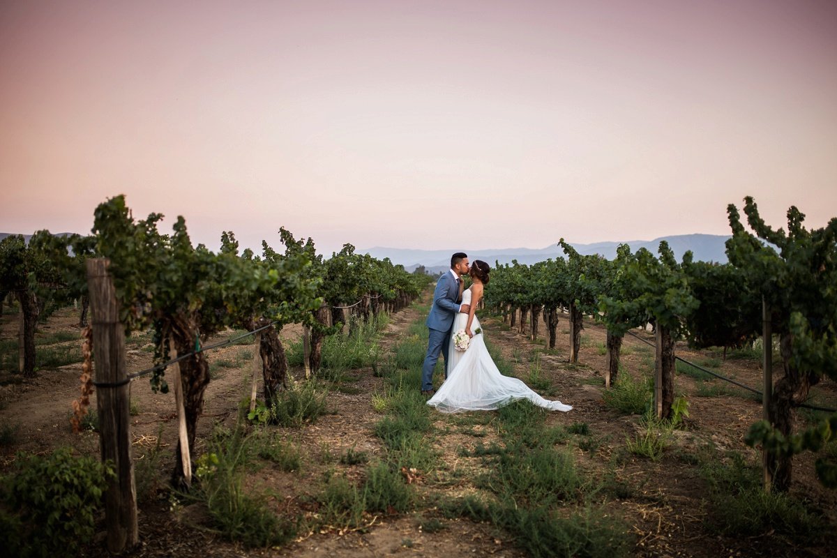 Bride and Groom share a kiss in the middle of a winery