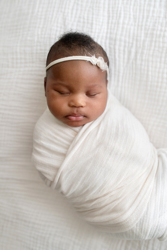 Newborn session of baby girl wearing bow